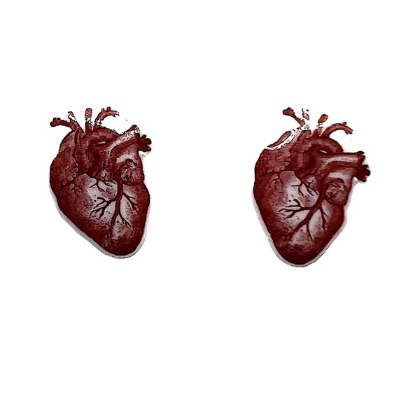 Human heart , detailed earrings. New. Anatomically correct. - Picture 4 of 10